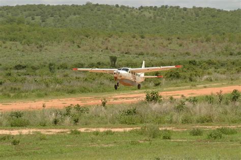 fly/tanzania/tanapa/serengeti/manyara/travel/nature/war/safari/kenya/rwanda/ tourism/ecosystem/ecology/IT/science Safari Tanzania Specialist