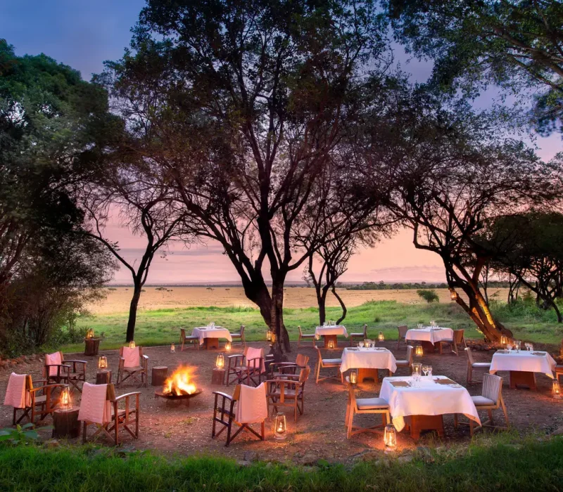 Africa Safari Specialist Tanzania Safari