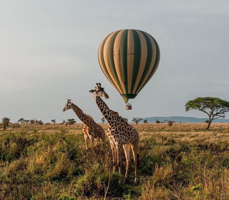 Serengeti-park-tanzania Tanzania Safari Specialist
