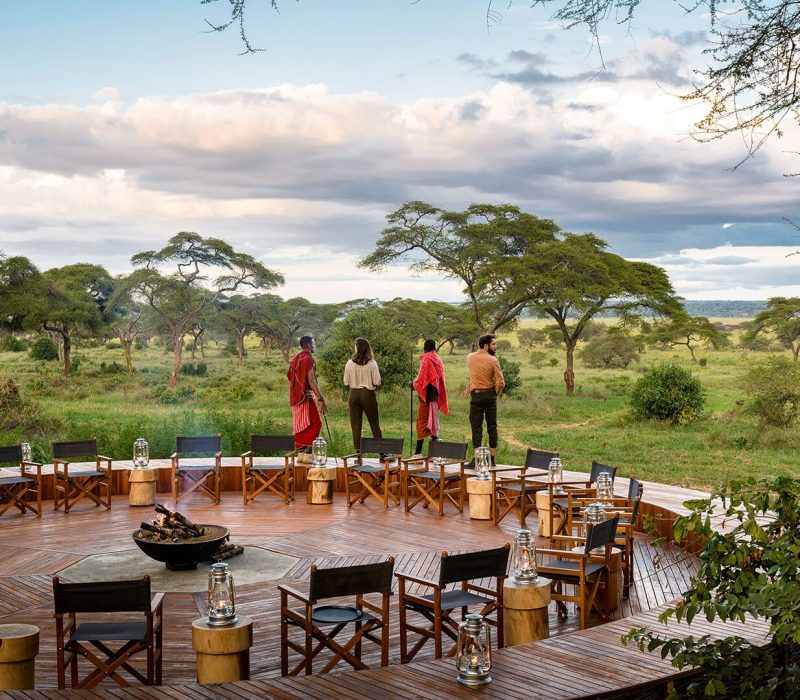 tanzania/travel/holiday/luxury/nature/women/government/trump/america/china/africa/world/ukrein/russia/iran/germany/france/psg/arsenal/barcelona/madrid Safari Tanzania Specialist