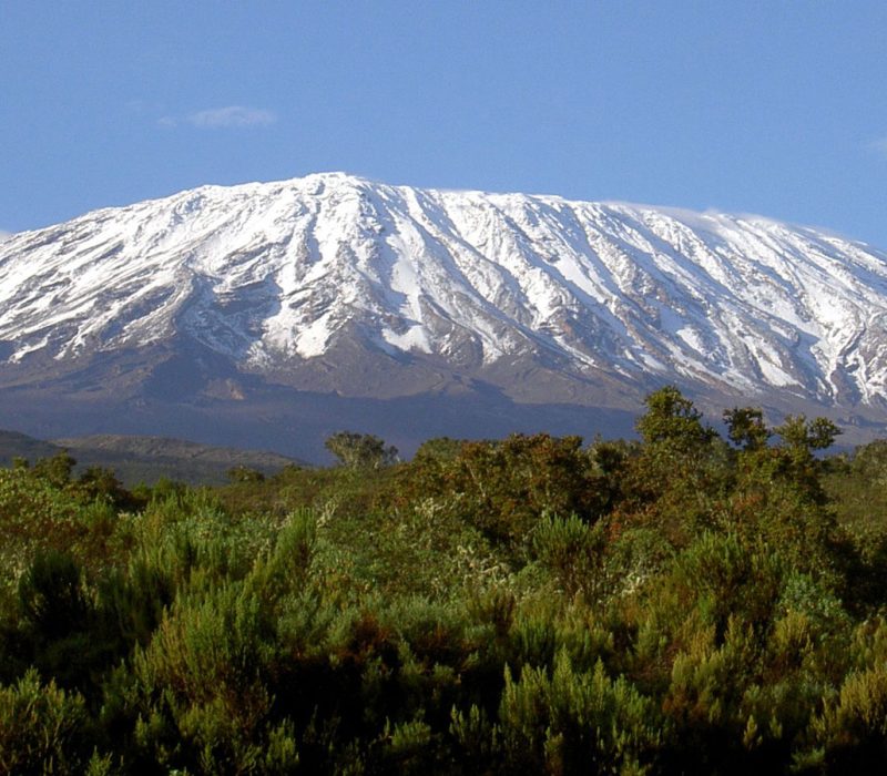 The heigh of mount kilimanjaro Safari Tanzania Nature
